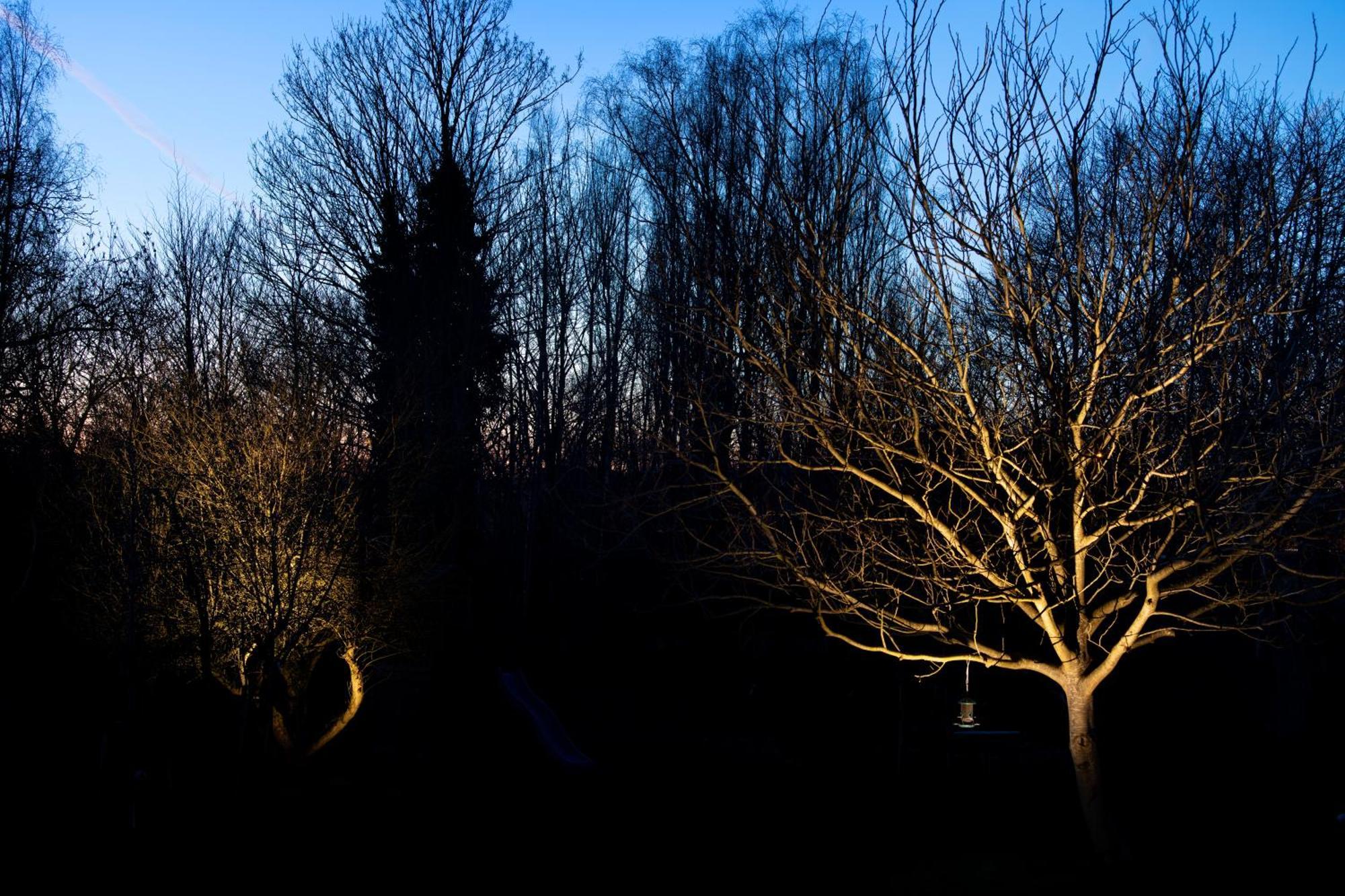 Oud-Heverlee Nuit Blanche Bed & Breakfast エクステリア 写真